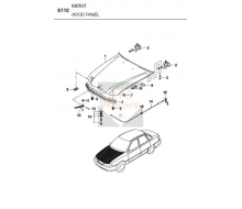 STRIP-HOOD SEAL