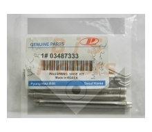 03487333-PIN&SPRING SHOE KIT