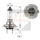 48328 - BULB H7, 12V-55W