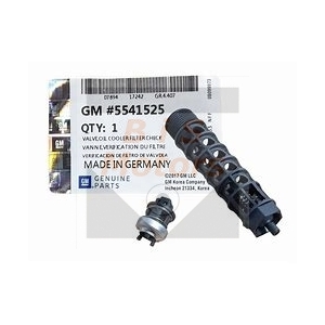 http://www.bismotors.com.mk/7319-thickbox/5541525-ednosmeren-ventil-za-filter-za-maslo.jpg